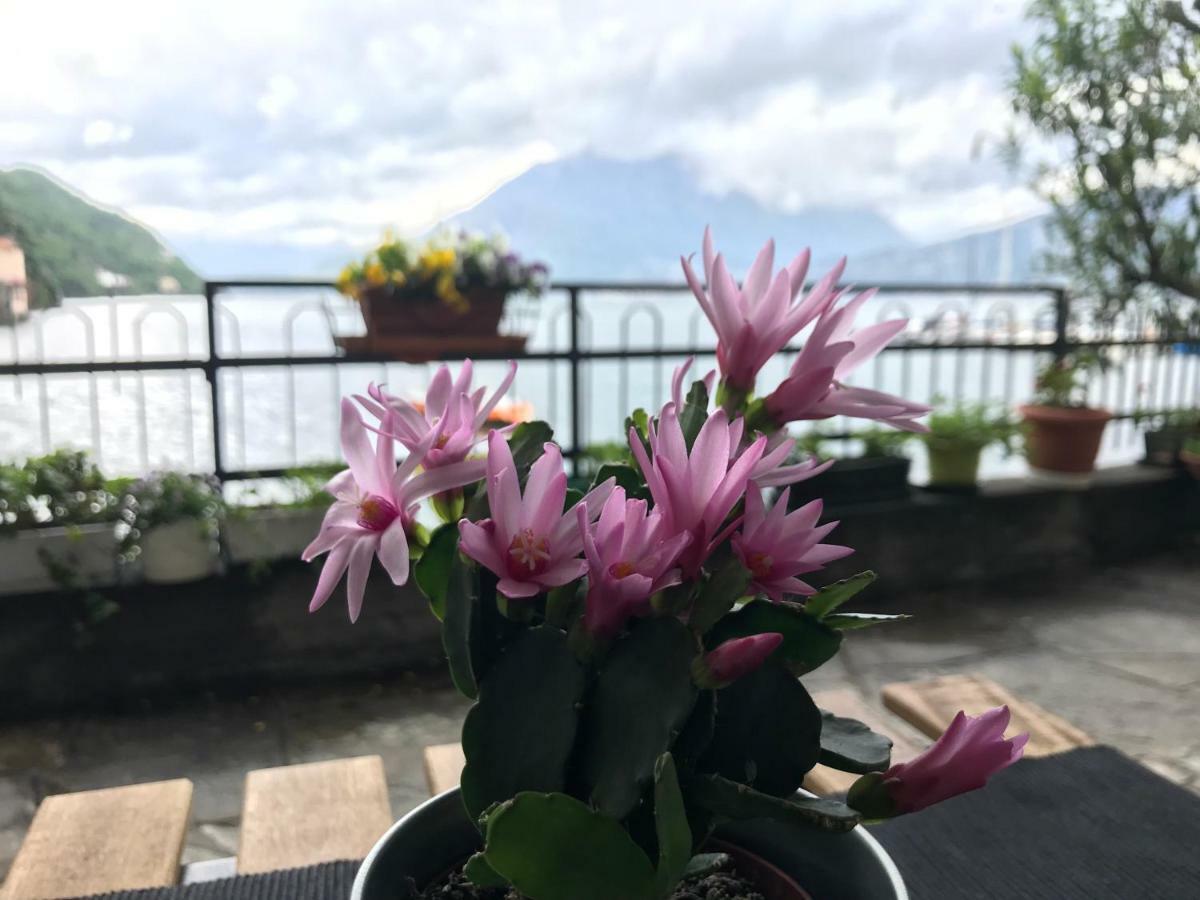 Gli Oleandri Hotel Bellano Kültér fotó